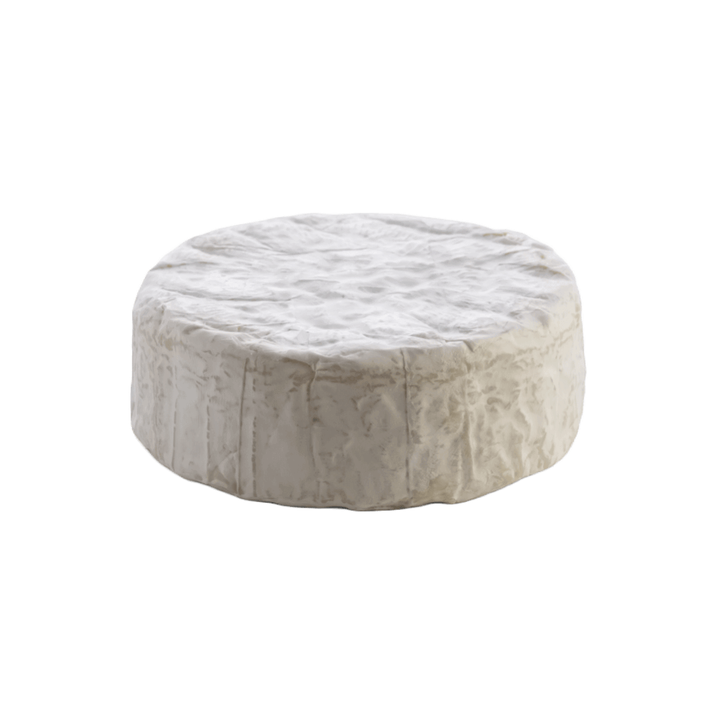 product-24 product-24