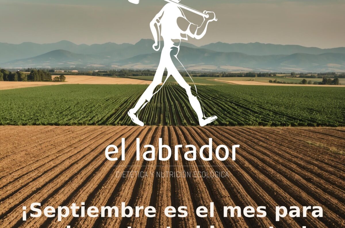 ¡Estamos de vuelta y deseamos que este septiembre, renueves tu vida con lo mejor de la naturaleza! 