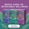 Nuevos Digest Well y Focus Well, las estrellas más recientes de la Gama Wellness de Hampstead Tea