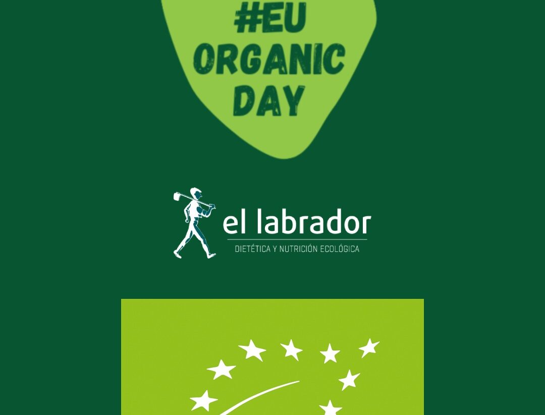 552530523_724591250618951_6150321915944028734_n 552530523_724591250618951_6150321915944028734_n